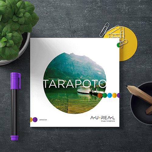 Marcas asesoradas con éxito